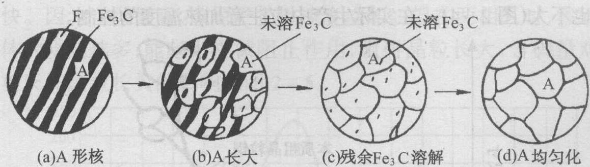 一、鋼在加熱時(shí)的組織轉(zhuǎn)變